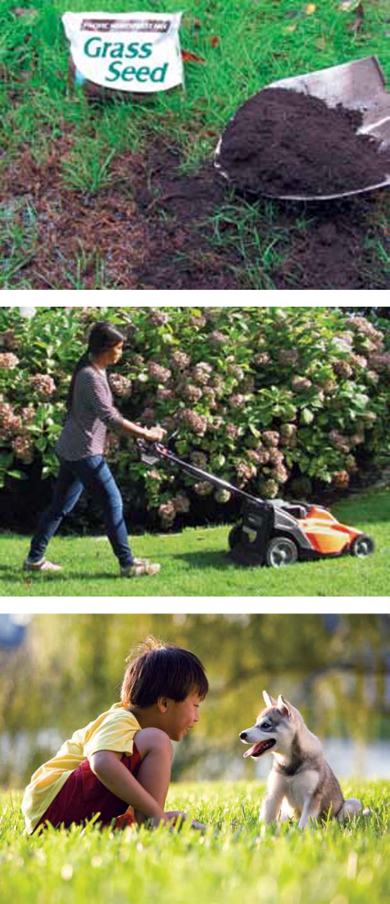 Lawn Care Sidebar